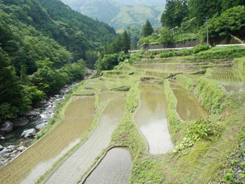 Auberge Tosayama Kōchi Extérieur photo